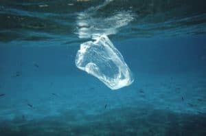 I volontari di 4Ocean puliscono gli oceani dalla plastica