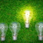 immagine concettuale di energia elettrica sostenibile lampadine spente eccetto una accesa in un prato verde