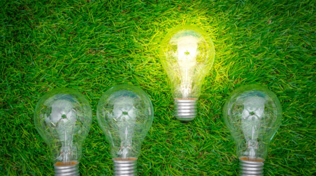 immagine concettuale di energia elettrica sostenibile lampadine spente eccetto una accesa in un prato verde