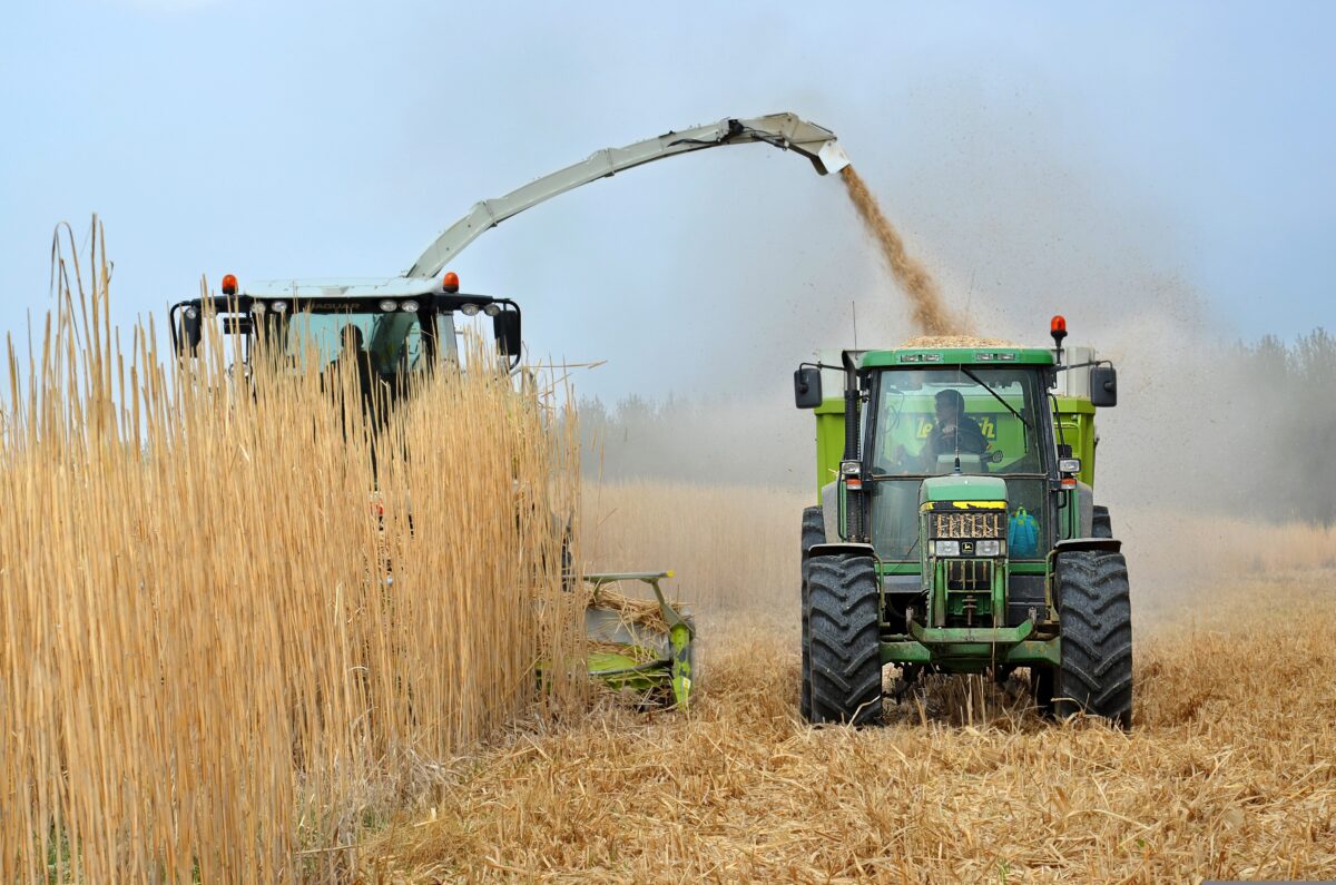 Non solo elettrico il futuro green è anche nei biocarburanti ma non solo.