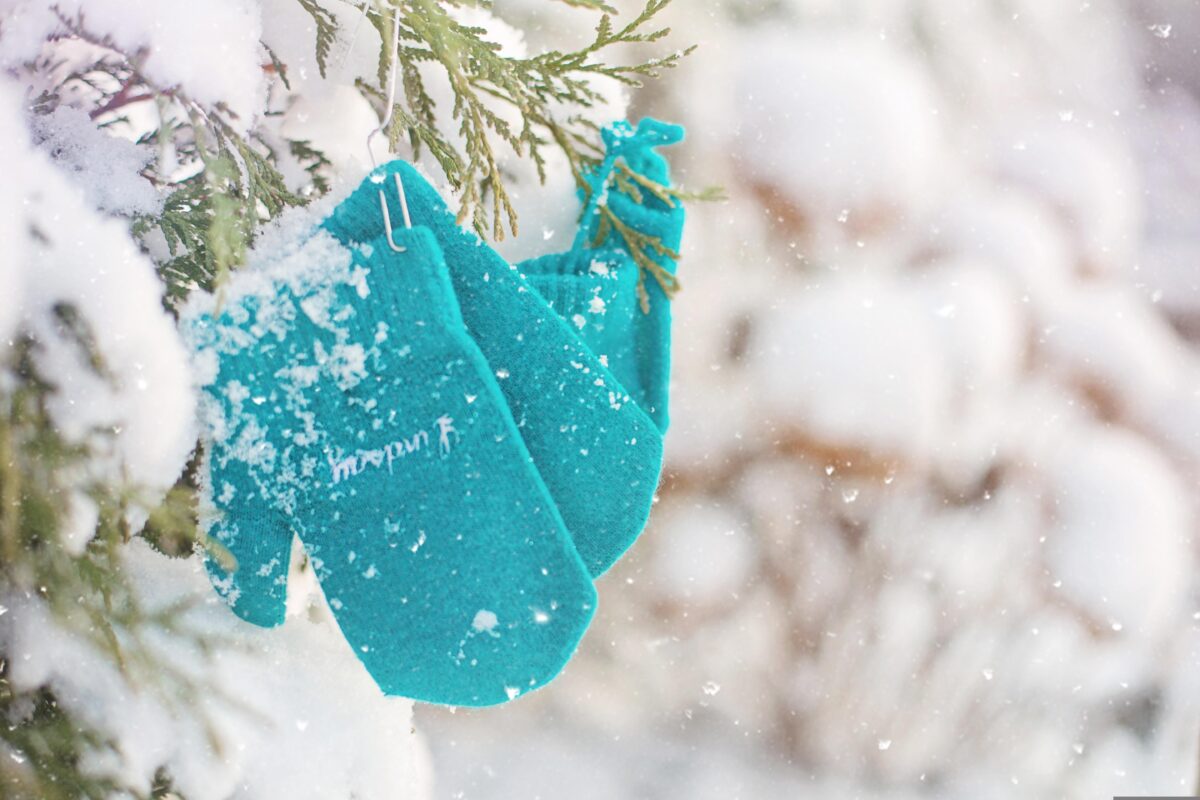 I guanti sono uno dei principali outfit invernali. Belli, caldi, ma anche vegan ed ecofriendly
