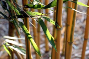 la fibra di bamboo mantiene il calore nelle mani e nei piedi