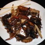 In Italia è legale mangiare quattro tipi di insetti