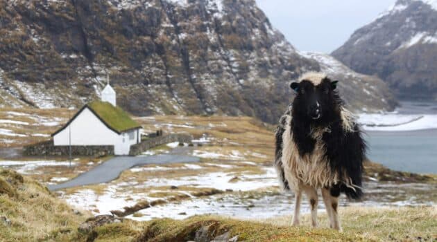 vivere alla faroe