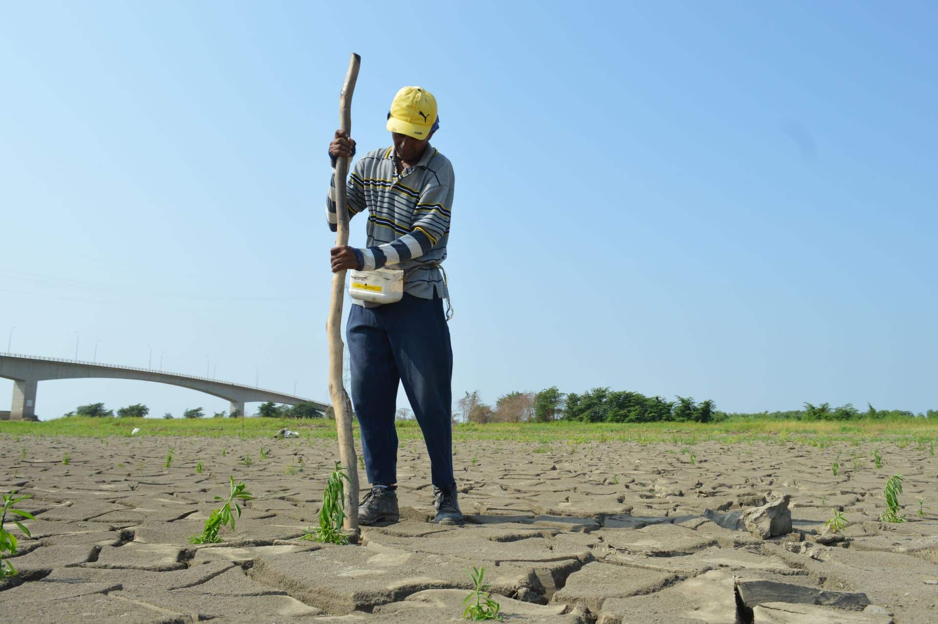 El Niño fenomeno climatico