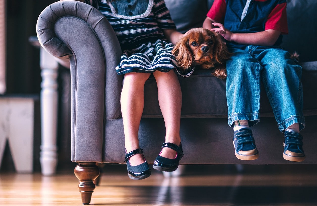 bambini seduti sul divano con gambe penzoloni indossando scarpe bambini seduti sul divano con gambe penzoloni indossando scarpe