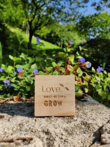 iGreen Cube personalizzato
