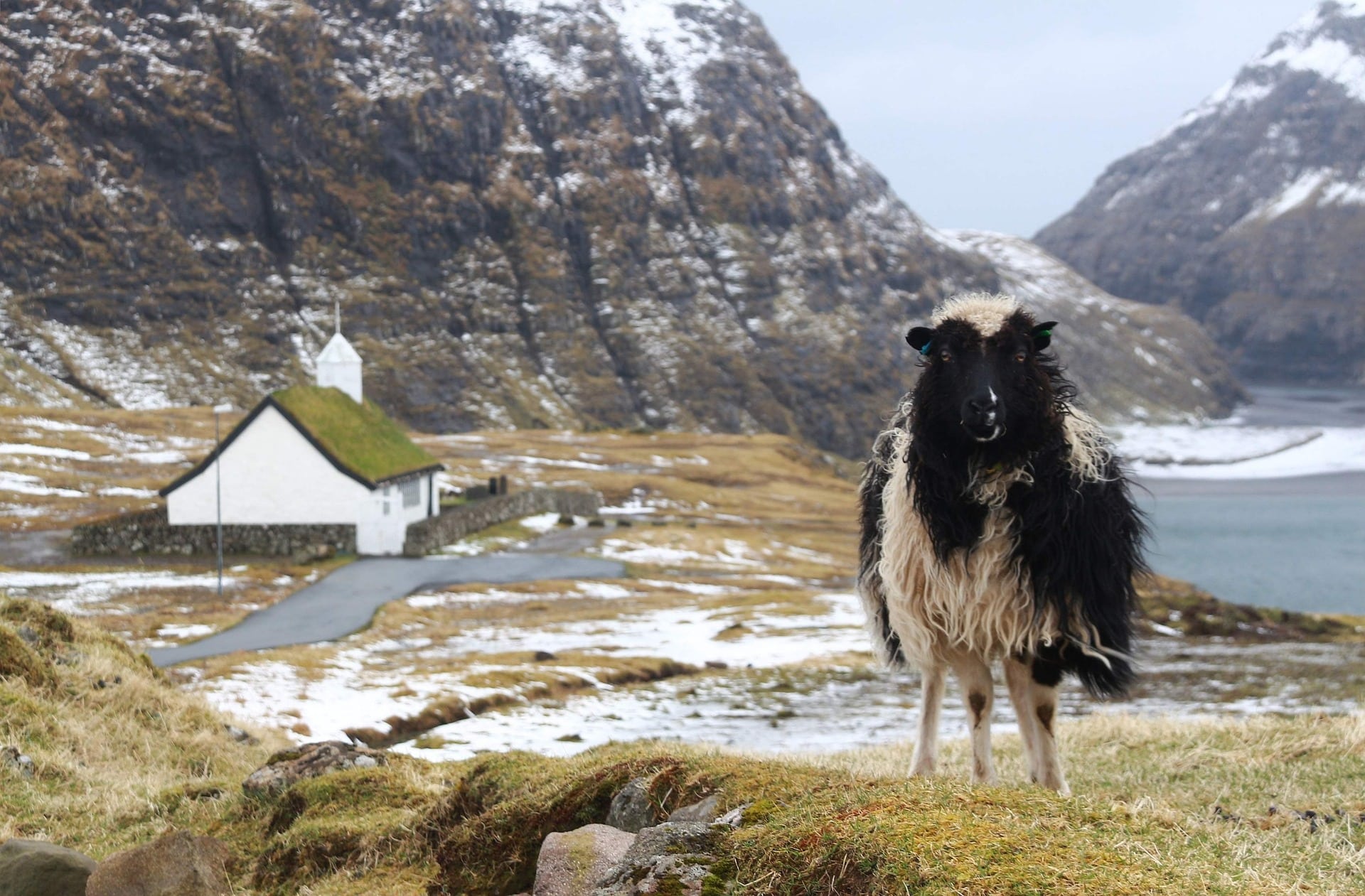 vivere alla faroe
